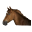 Apictureofahorse.com favicon